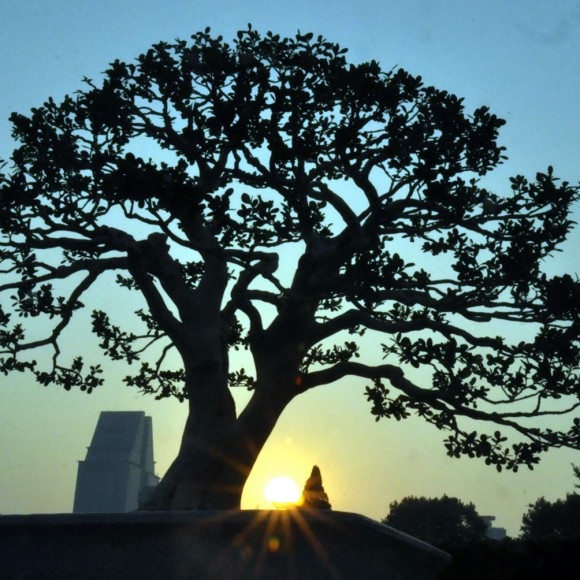 【以小见大，浓缩自然】