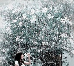 2011-------我拍过的那些女孩