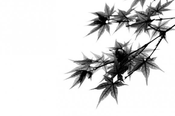 学做水墨效果，求题词