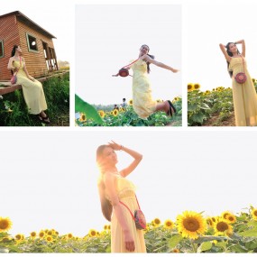 葵花园 活动作业