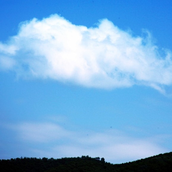 天边那朵变幻的云