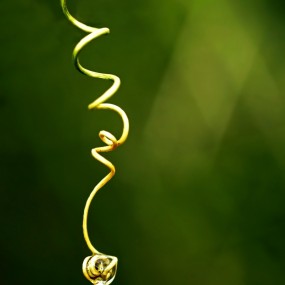 littl3fairy 精彩自由微距摄影作品