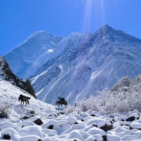 贡嘎山区那玛峰登山滑雪