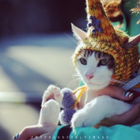 带次郎散步才是正经事