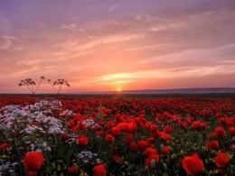 这组获奖风光片为何能刷爆朋友圈？太美了！