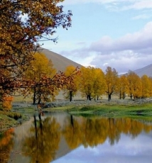 瞬息万变牛背山云海