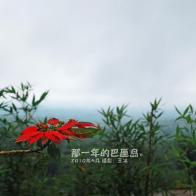 那一年的巴厘岛