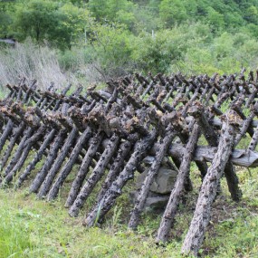 #留坝农耕节#各种山货土特产