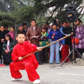 中华武术  威名远扬