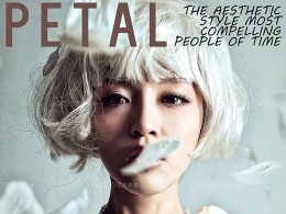 莎莎艺术美学【新概念婚纱】第七季『花瓣』