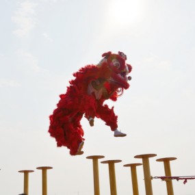 参赛作品;  南狮精彩舞世园