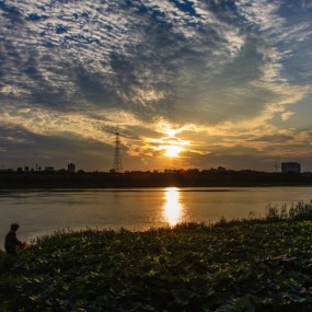 初夏邕江的早晨