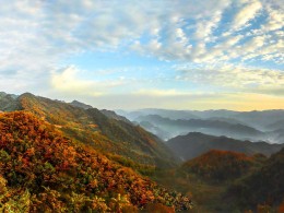 云山雾罩秋之恋