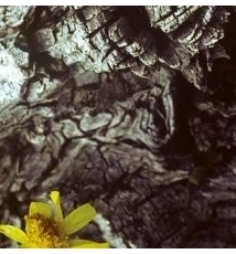 风光摄影和个人的思维