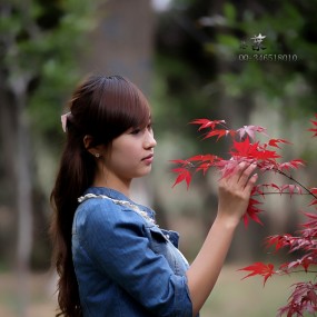 杜陵春----金玉人像一组----