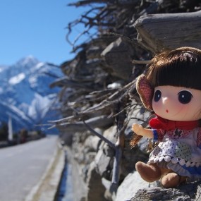 迷糊娃娃，不离不弃