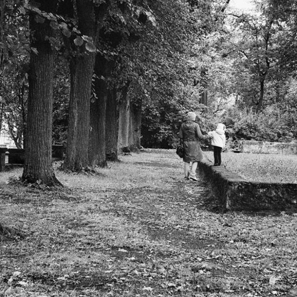 Black white landscape (14)