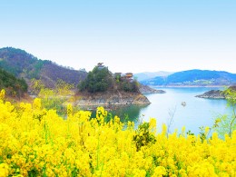 油菜花点缀在山水之间