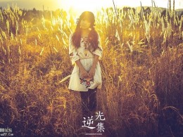 逆光集