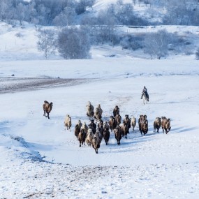 克什克腾旗蒸汽火车节-达里湖冬捕-冰雪坝上1