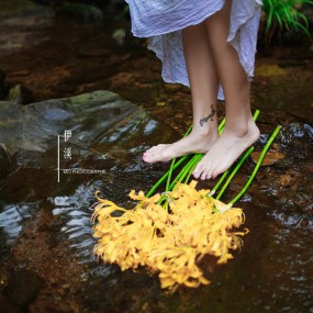 风微子墨作品《伊.溪》