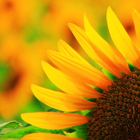 先发几张  还没完