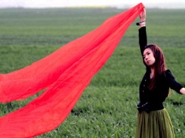 芳草地（一）天然雕饰