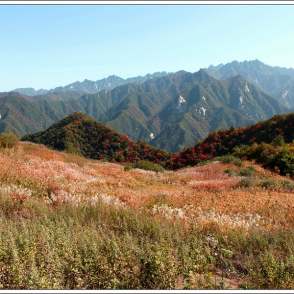 秦岭秋色