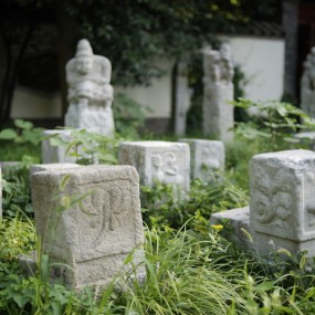 身边的历史之二——拴马桩·荐福寺