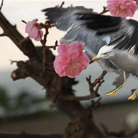 早先拍的一张片子——后期制作