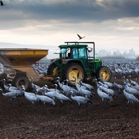 Doron Nissim 人文艺术摄影（二）
