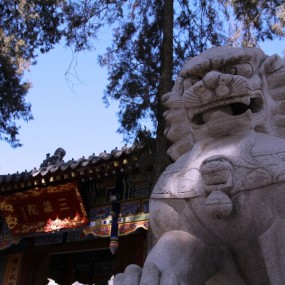 西安兴教寺随拍