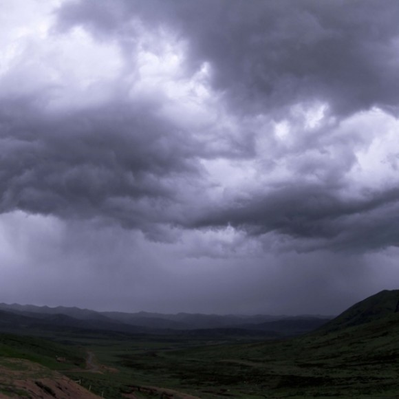 云上花开（五）舒卷飘逸