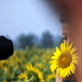犹抱“琵琶”半遮面