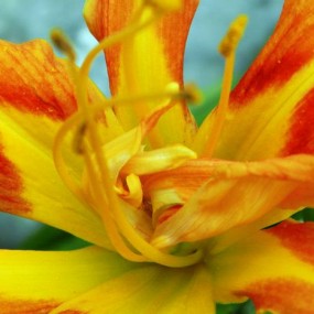 寒窑万人相亲大会