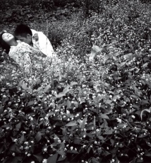 细江英公—咏叹生命的黑白基调