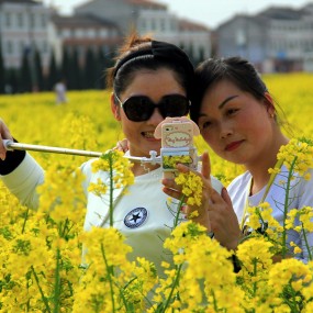 她在丛中笑（洋县访油菜花）
