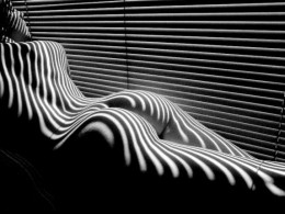 他是毕加索的忘年交，更是摄影界第一位院士