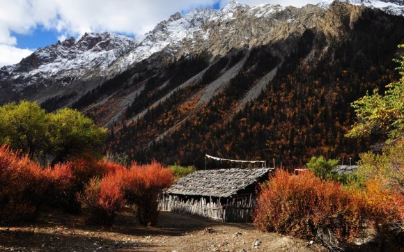 秋行林芝-田园风光