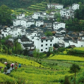 走进婺源--江岭