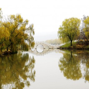 雾霾天秋景乱拍