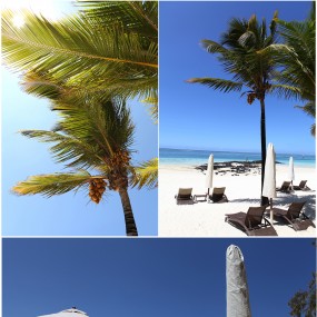 印度洋上的伊甸园，毛里求斯