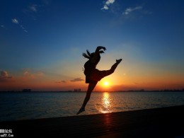 夕阳舞者
