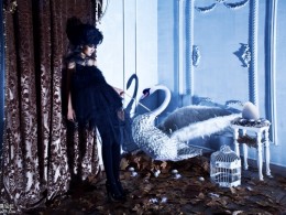 摄影师李纯洁—《黑天鹅》