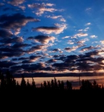 哈雷户外--【大美新疆系列活动】南疆@北疆（喀纳斯/胡杨林/帕米尔）