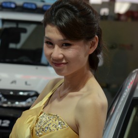 国庆车展美女（十二）