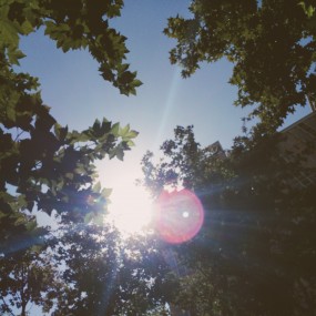 那一天 阳光很好