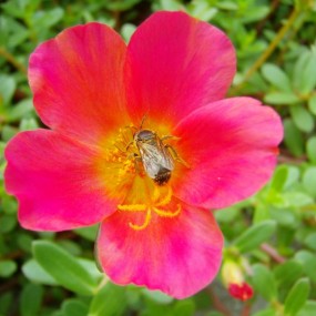 发几张过去用卡片机的照片