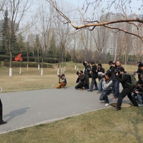 3-11运动公园作业~美丽的麻豆~