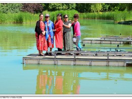 大妈的几张环境人像